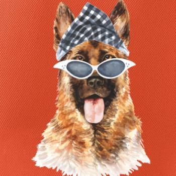 German shepherd so šatkou