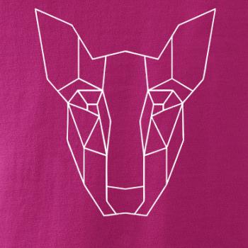 Americký Pit Bull Teriér - Geometria