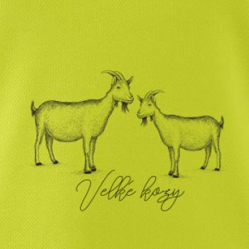 Velké kozy