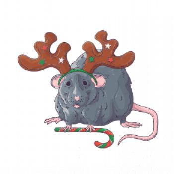 Vianočná myš