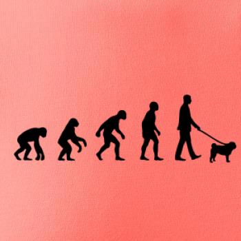 Evolúcia pes Mops (muž-žena)