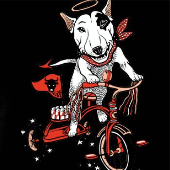 Bull terier anjel (Pecka design)