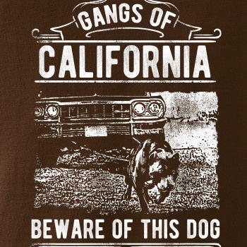 Gangs Of California