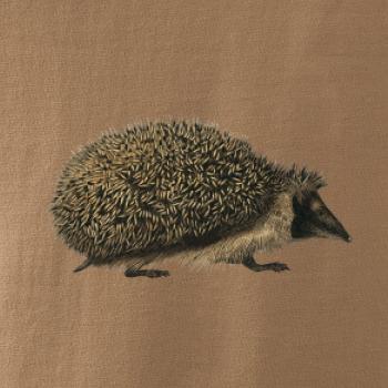 Ježko kresba Ježko kresba