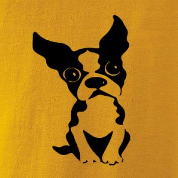 Bostonský teriér Bostonský teriér