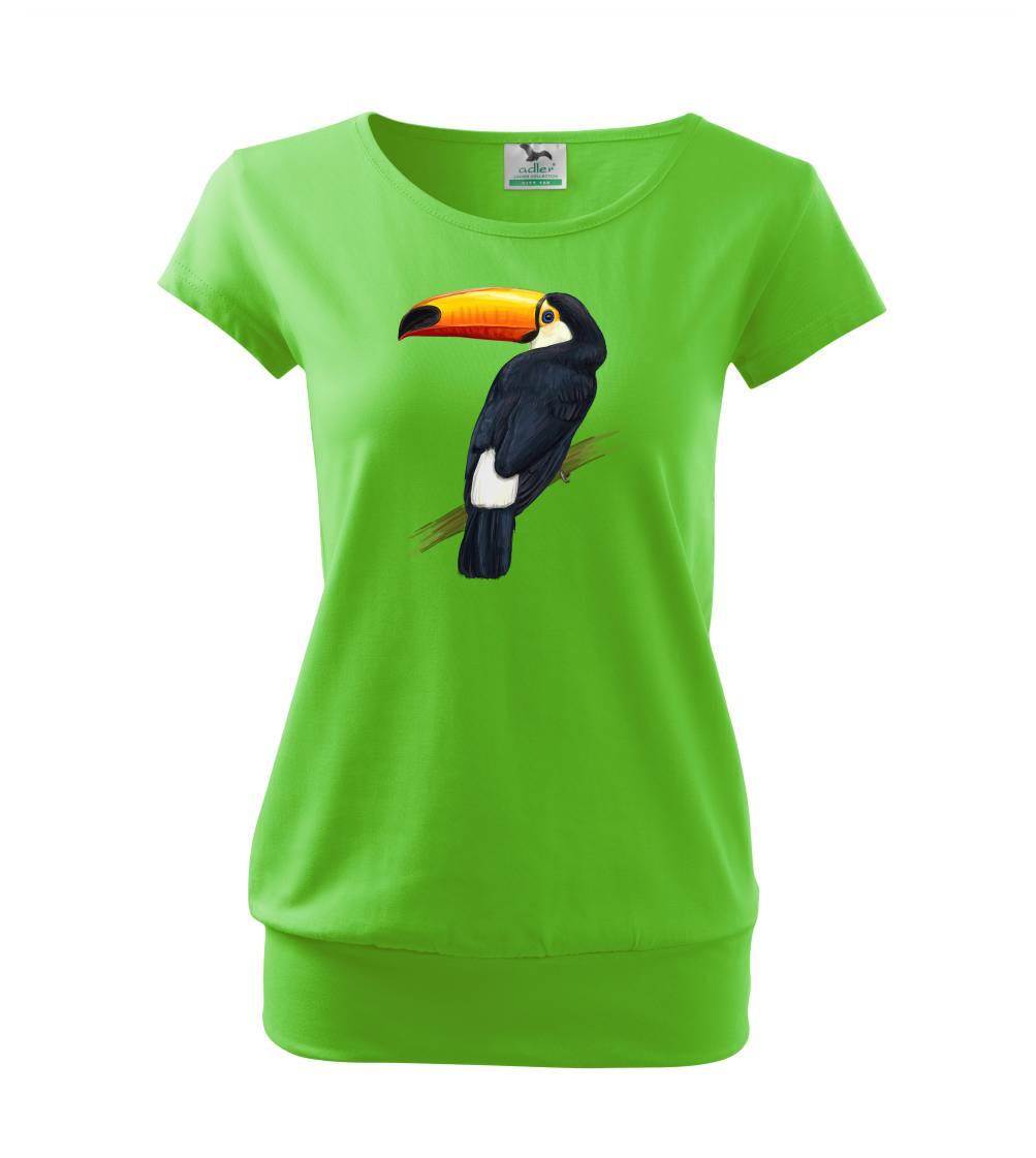 Tukan kreslený Tukan kreslený