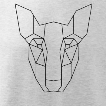 Americký Pit Bull Teriér - Geometria