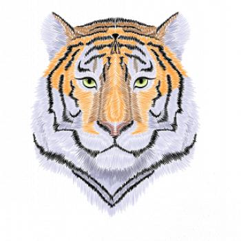 Tiger hlava