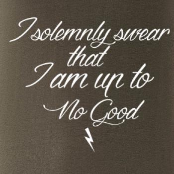 I solemnly swear that I'm up to no good