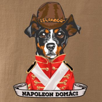 Napoleon domáci kríženec