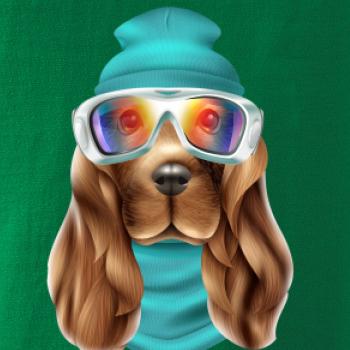 Jazvečík lyžiar   Jazvečík lyžiar