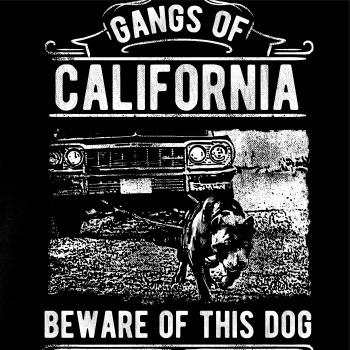 Gangs Of California