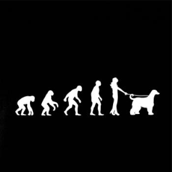 Evolúcia pes afgánsky chrt (muž-žena)