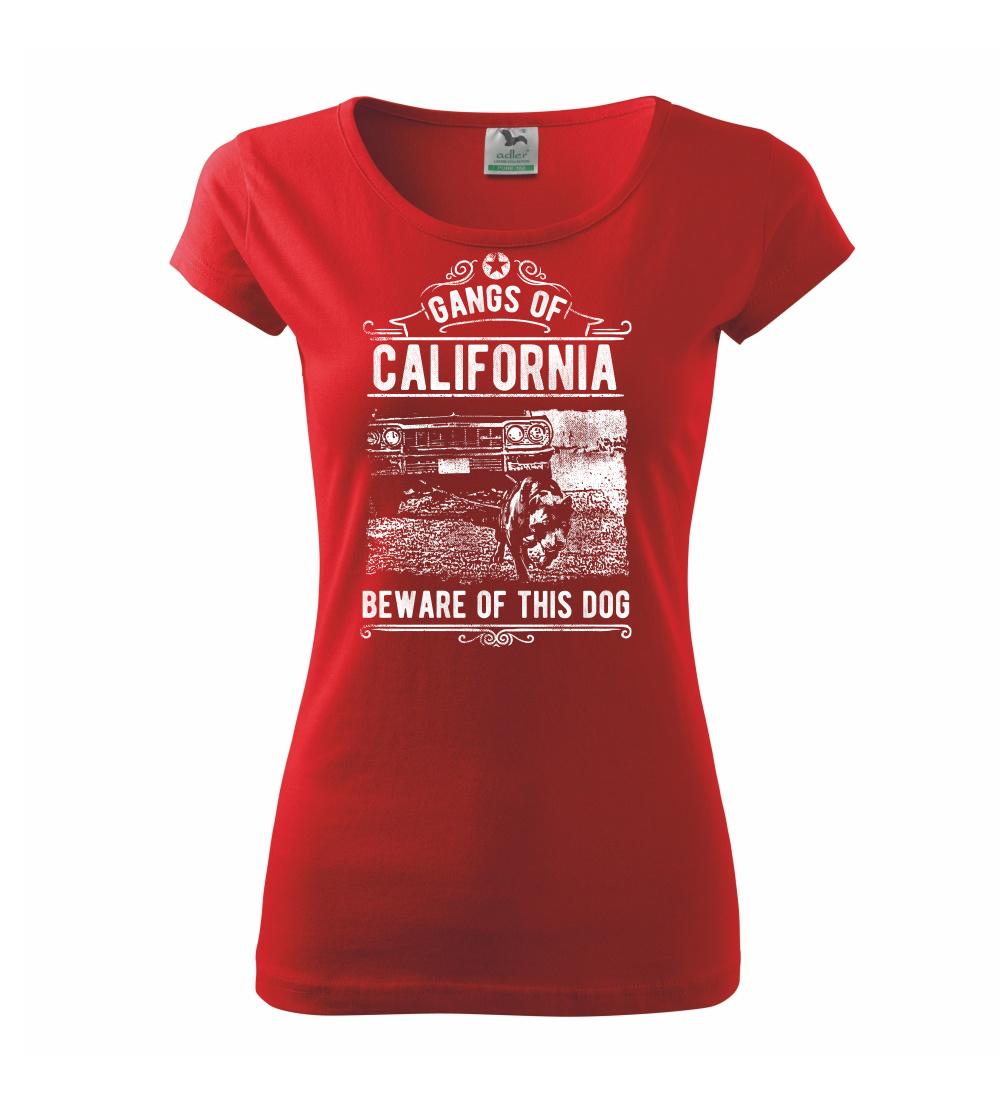 Gangs Of California Gangs Of California