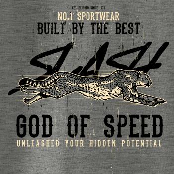 Cheetah slash
