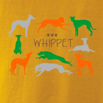 Whippet barevný