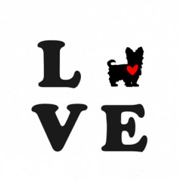 Yorkshire terier love