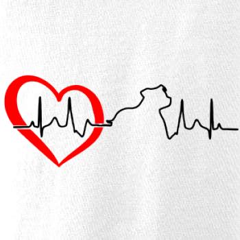 Stafordšírsky bulteriér ‎ EKG