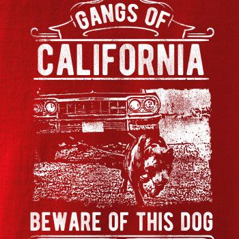 Gangs Of California