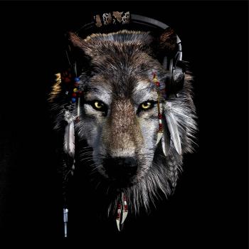 Vlk indián so slúchadlami Vlk indián so slúchadlami