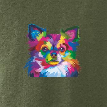 Čivava farebná Čivava farebná