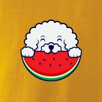 Bišónik s melónom