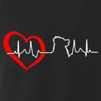 Bernský salašnický pes EKG