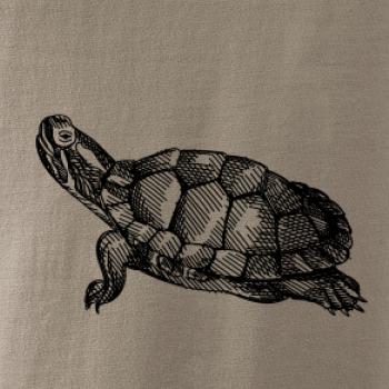 Ceruzkou kreslená korytnačka Ceruzkou kreslená korytnačka