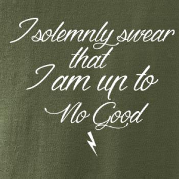 I solemnly swear that I'm up to no good I solemnly swear that I'm up to no good
