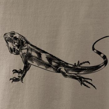 Ceruzkou kreslený Leguán