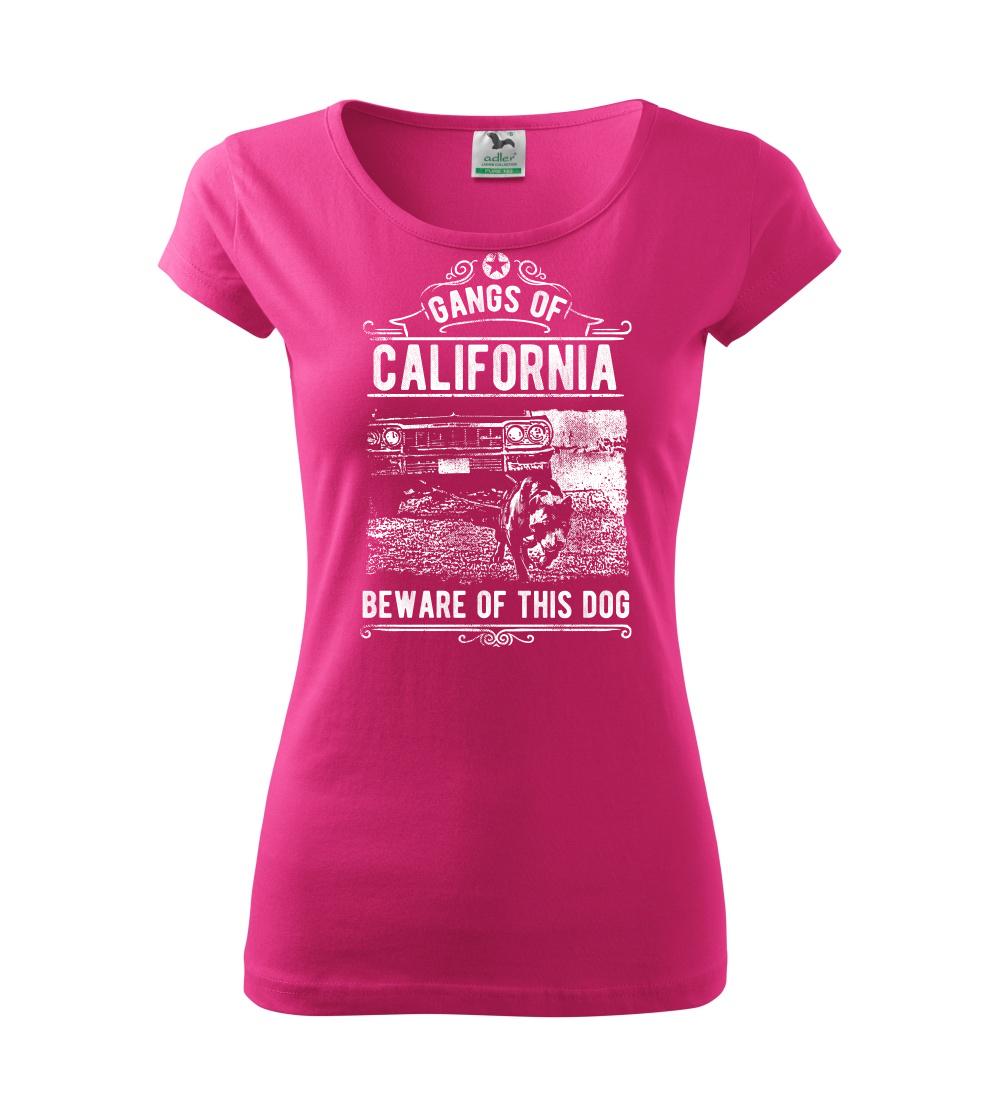 Gangs Of California Gangs Of California