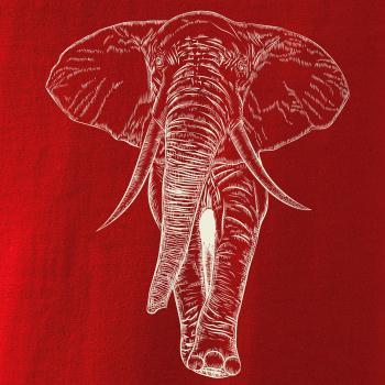 Slon vo farbe slonovej kosti