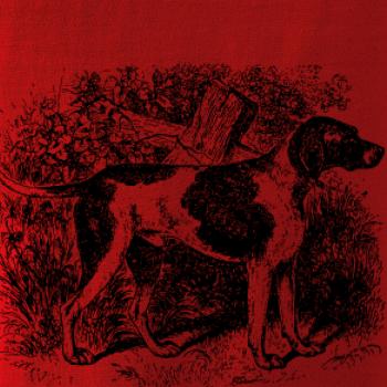 Ohař - kresba