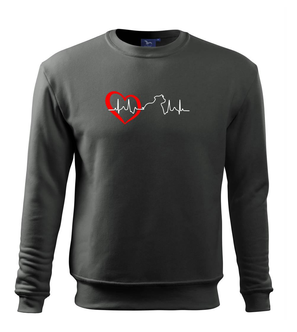 Stafordšírsky bulteriér  EKG Stafordšírsky bulteriér  EKG