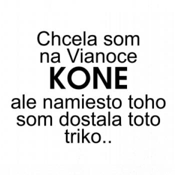 Chcela som na Vianoce kone