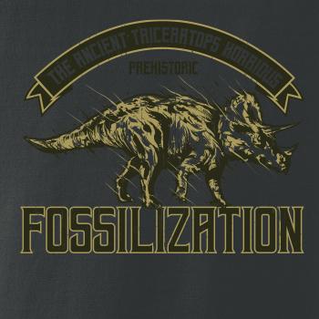 Triceratops fossil