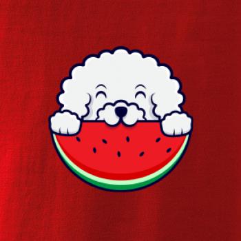 Bišónik s melónom