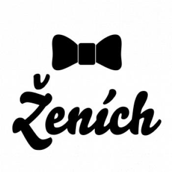 Motýlik ženích - tričko na rozlúčku Motýlik ženích - tričko na rozlúčku