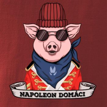 Napoleon domáci prasa