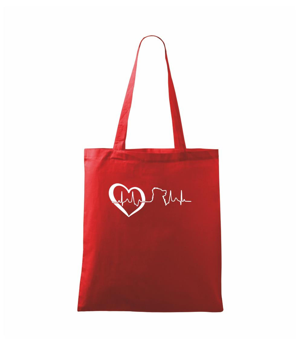 Bernský salašnický pes EKG