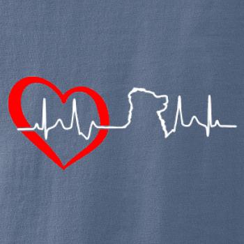 Bernský salašnický pes EKG Bernský salašnický pes EKG