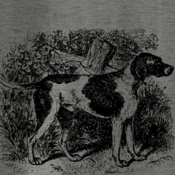 Stavač - kresba Stavač - kresba