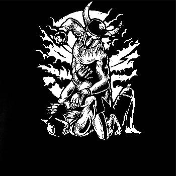 Viking MMA Fighter Viking MMA Fighter