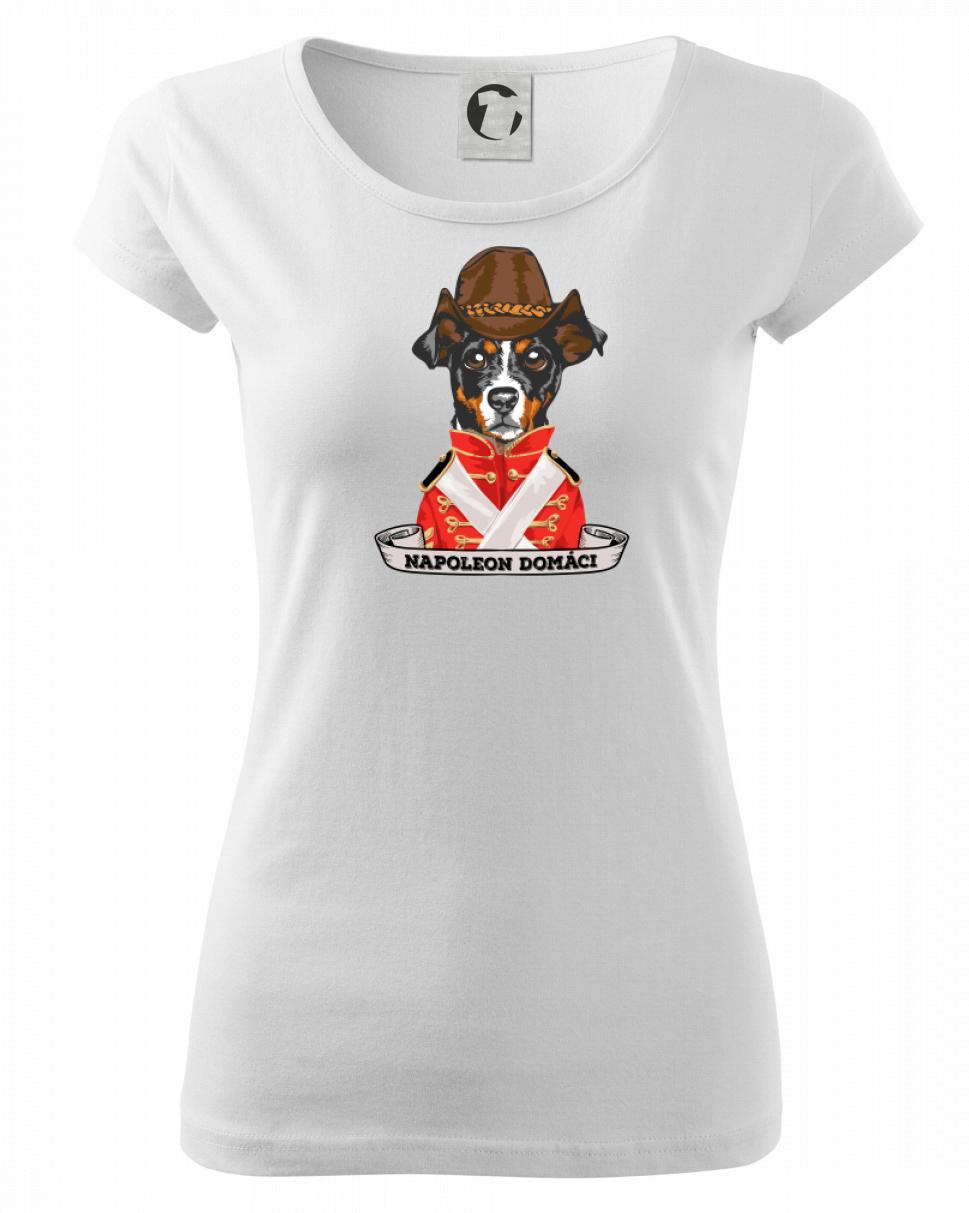 Napoleon domáci kríženec