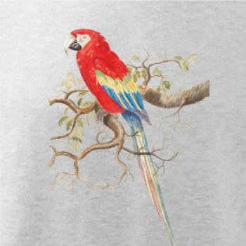 Papagáj  na listnatom strome