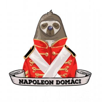 Napoleon domáci leňochod SK