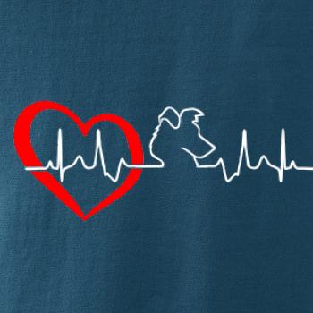 Borderská kólia EKG Borderská kólia EKG