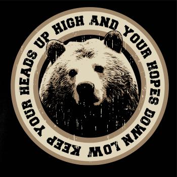 Bear headsup Bear headsup