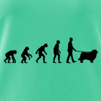 Evolúcia pes Novofundlandský pes (muž-žena)