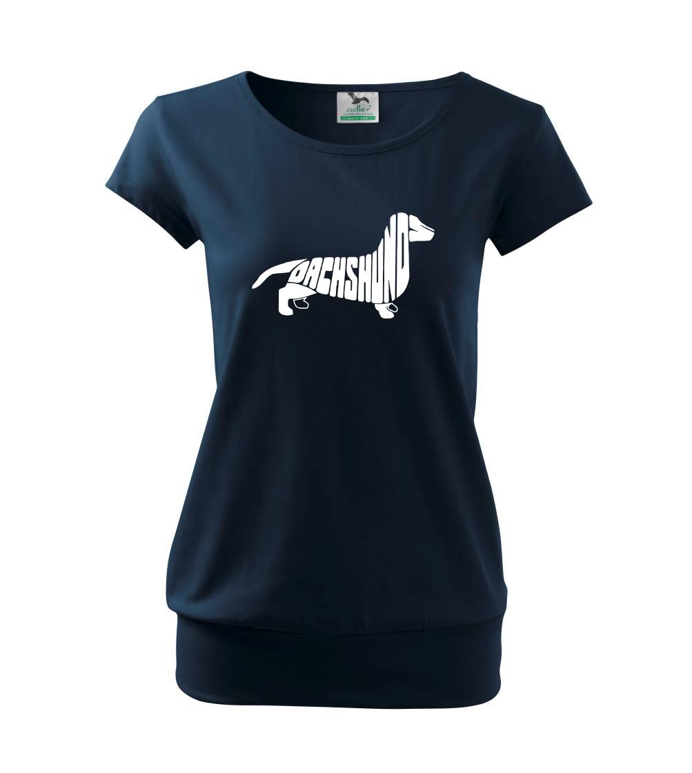 Jazvečík - Dachshund Jazvečík - Dachshund